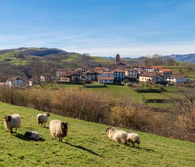 Protege la biodiversidad de los bosques del Baztan